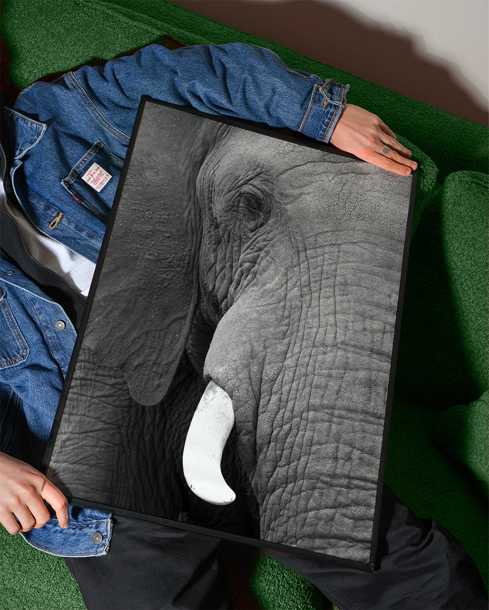 Elephant big
