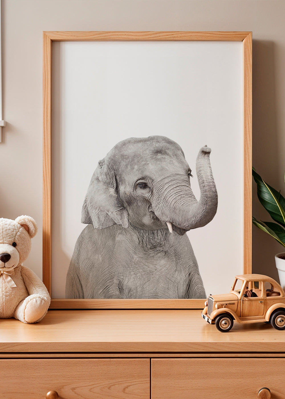 Baby Elephant