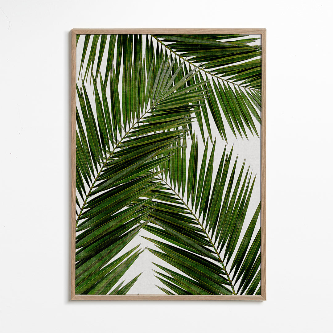 Palm Leaf III