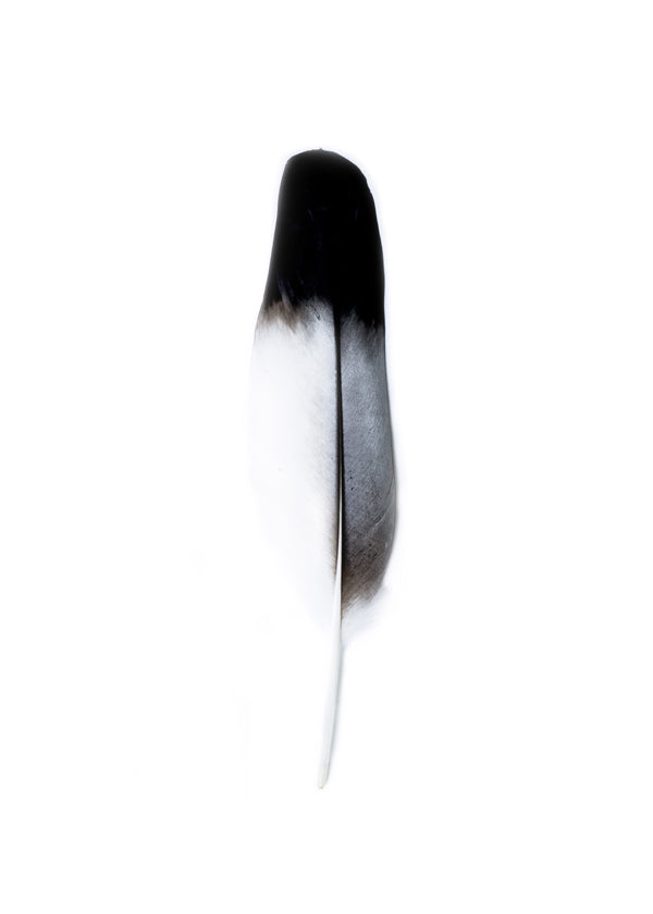 Spirit I 2