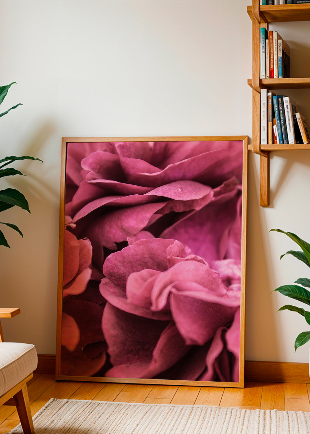 Rose I 2