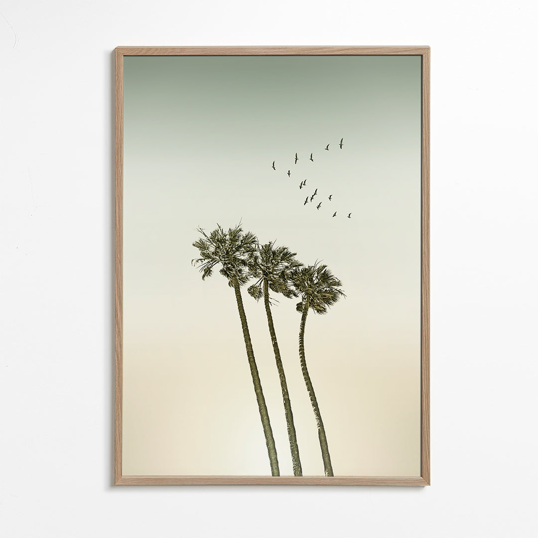 Vintage palm trees at sunset