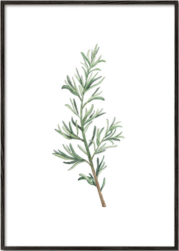 Rosemary Branch
