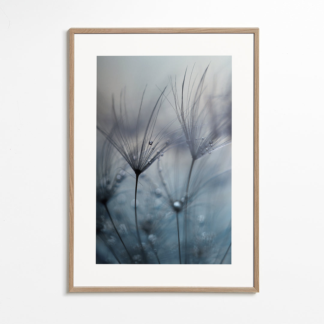 Teardrops - mathieu irthum