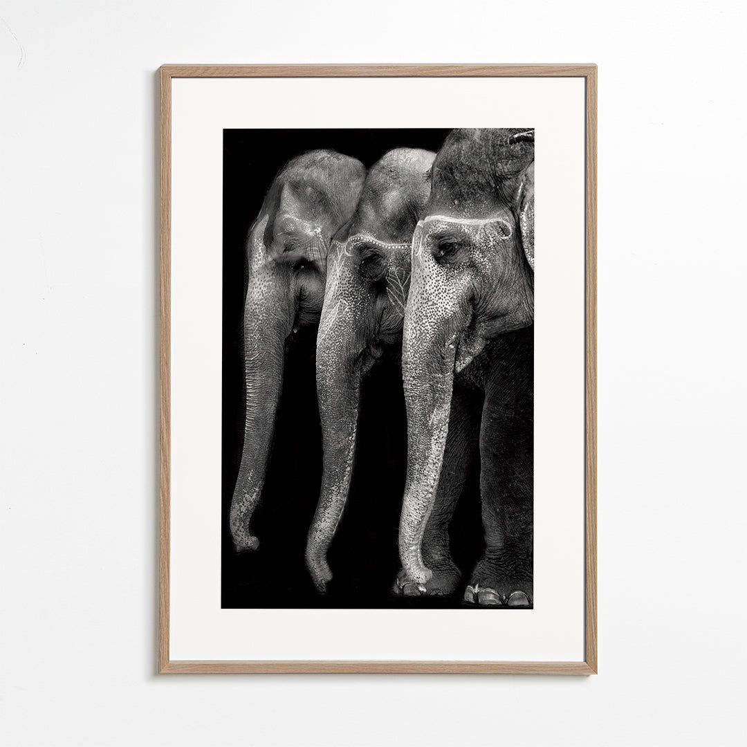 Natures great masterpiece an elephant the only harmless great thing - Yvette Depaepe