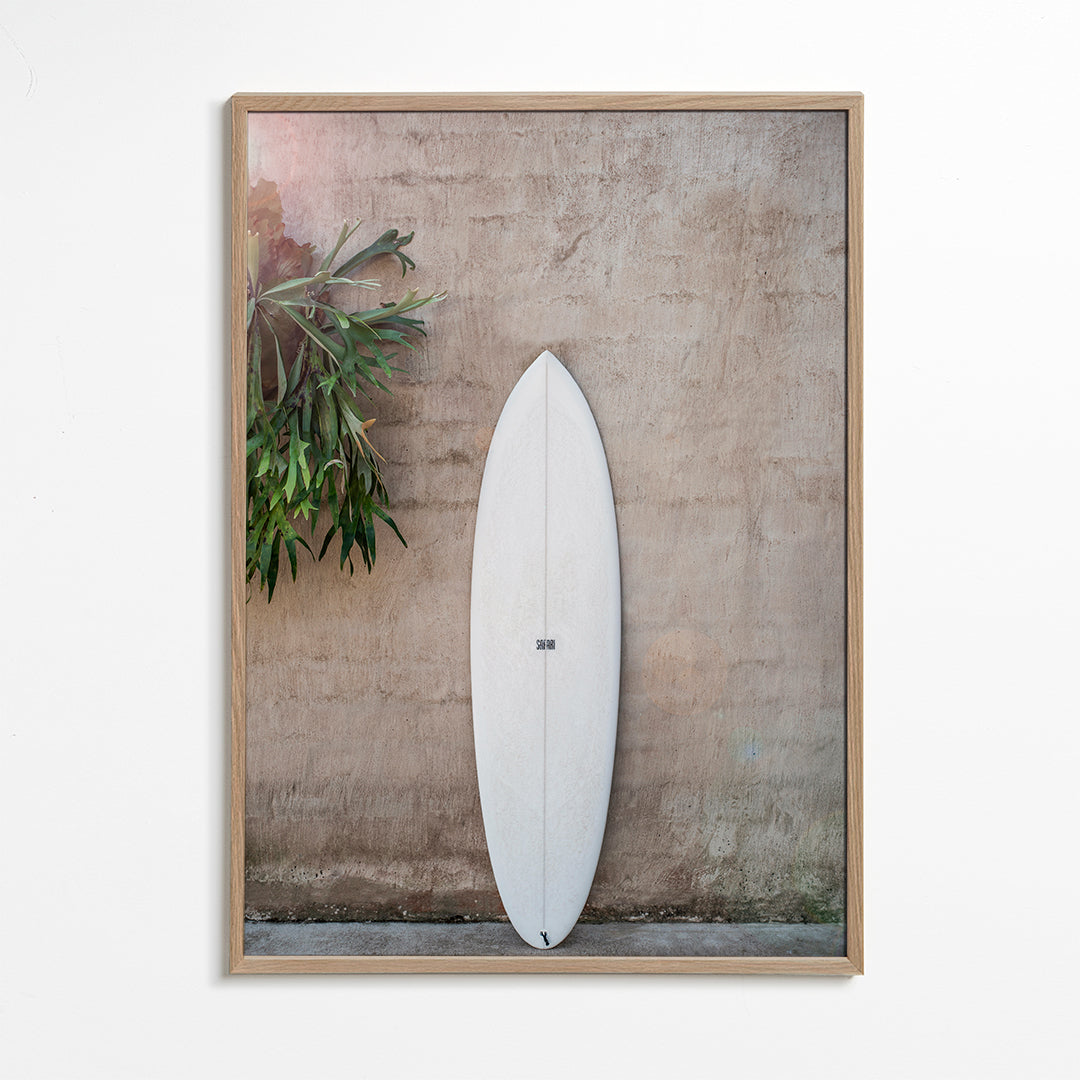 Safari Twinfin - Shot by Clint