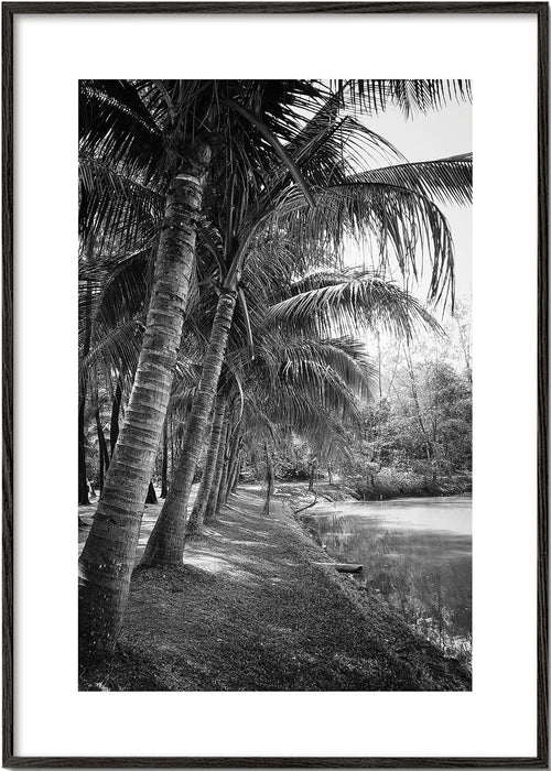 Paysage vertical de palmiers en photo