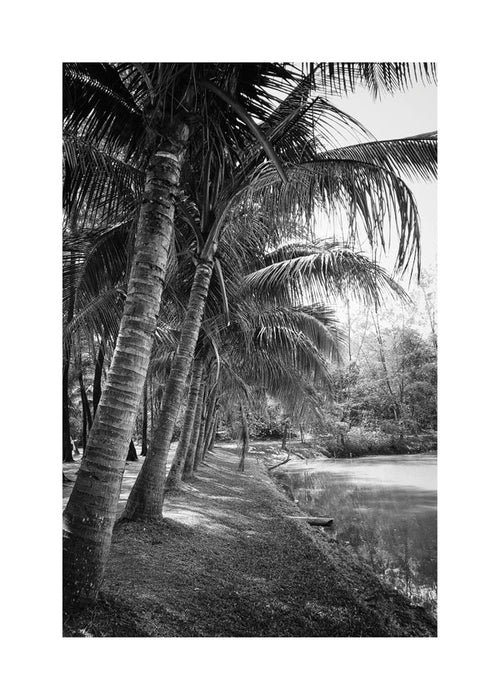 Paysage vertical de palmiers en photo