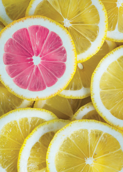 Art de cuisine tranches de citron rose