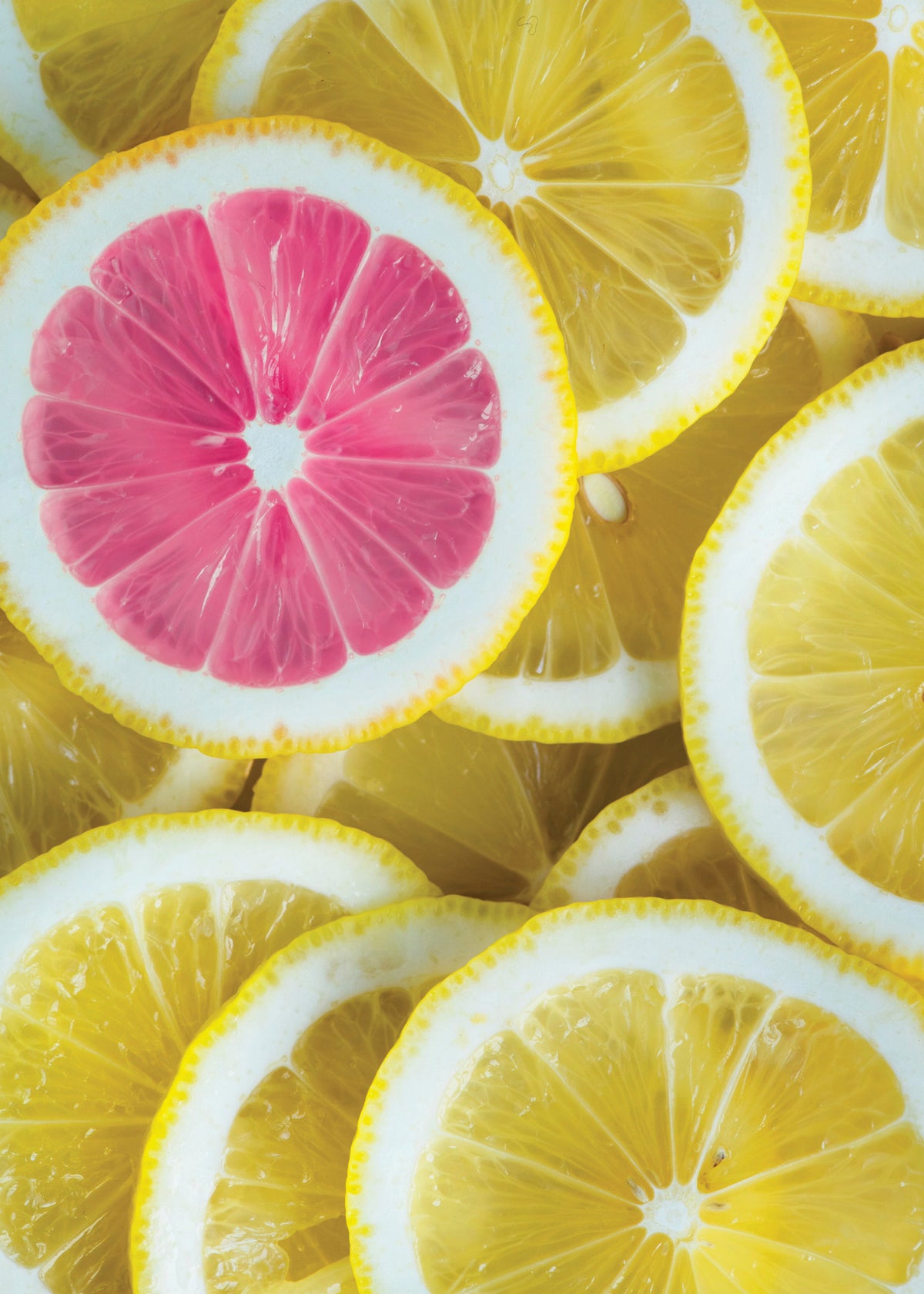 The pink lemon - Unframed art print