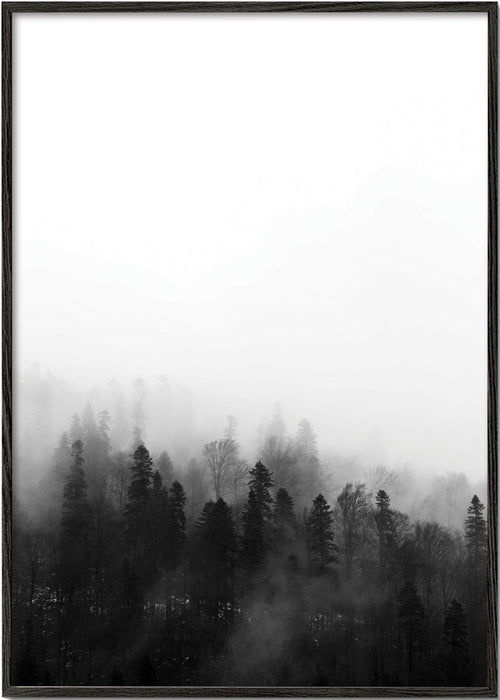 Art de paysage forêt brumeuse