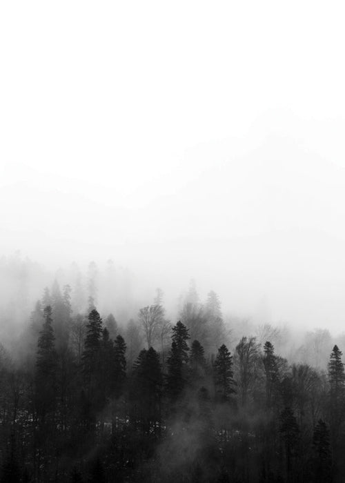 Art de paysage forêt brumeuse