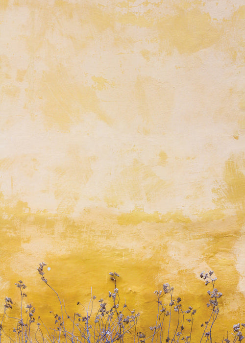 Impression botanique: mur texturé et fleurs séchées
