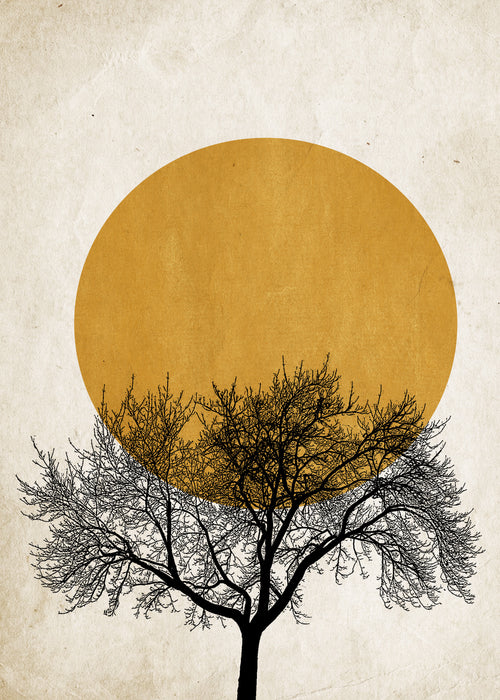 Winter sunrise - Obra sin marco
