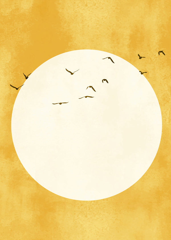 Sunlight