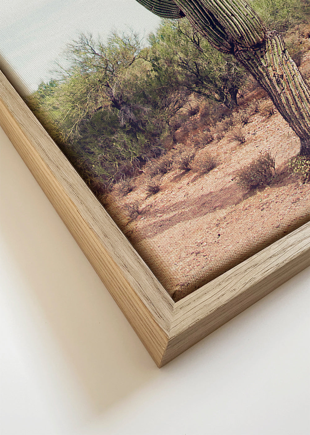 Cactus Art Tableau sur toile – Paysage Cactus tableau sur toile Cactus Art Tableau sur toile – Paysage Cactus tableau sur toile