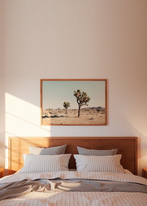 Joshua tree