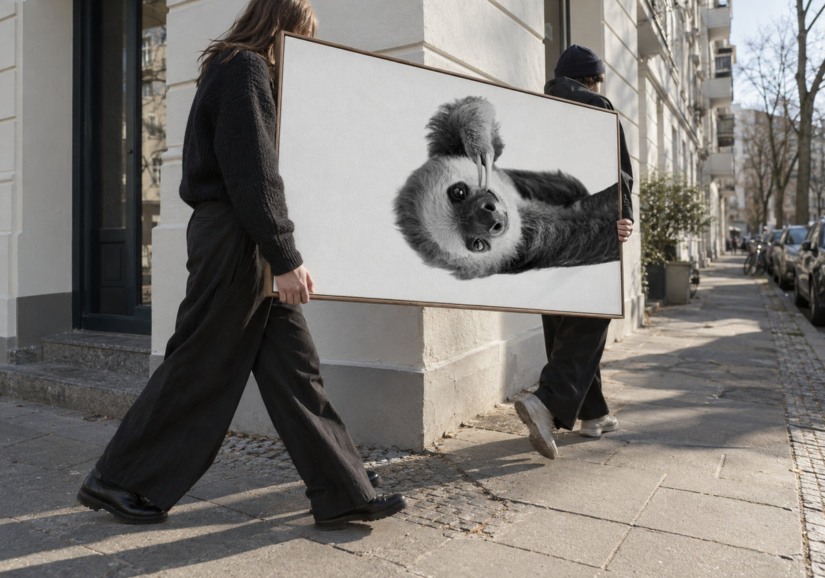 Sloth BW - Framed canvas in an interior
