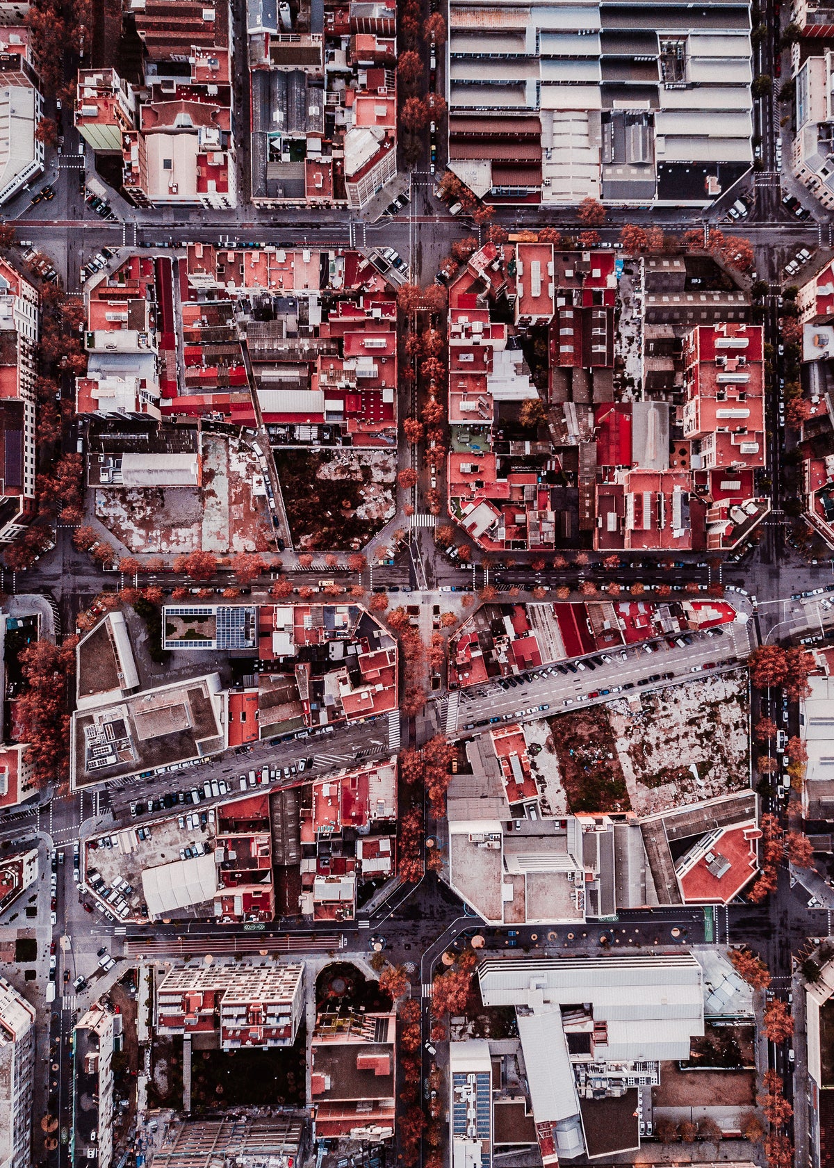 Red Barcelona - Unframed art print
