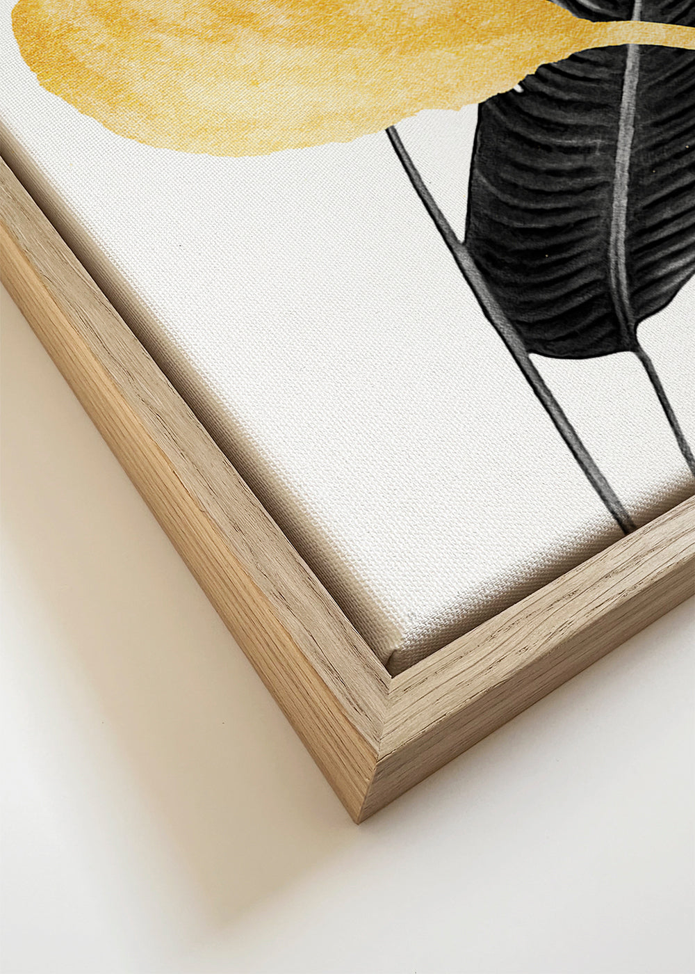 Bird of Paradise Plant Black, White and Gold 02