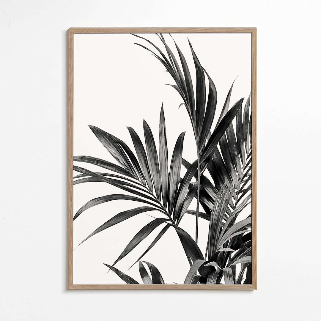 Palm Leaves Black and White 01