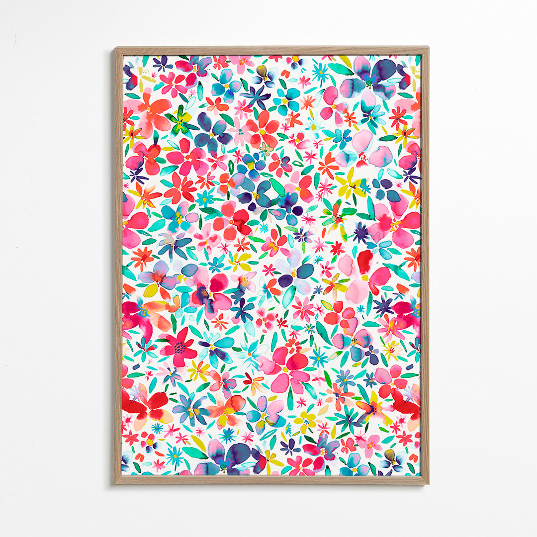 Colorful Flowers and Petals