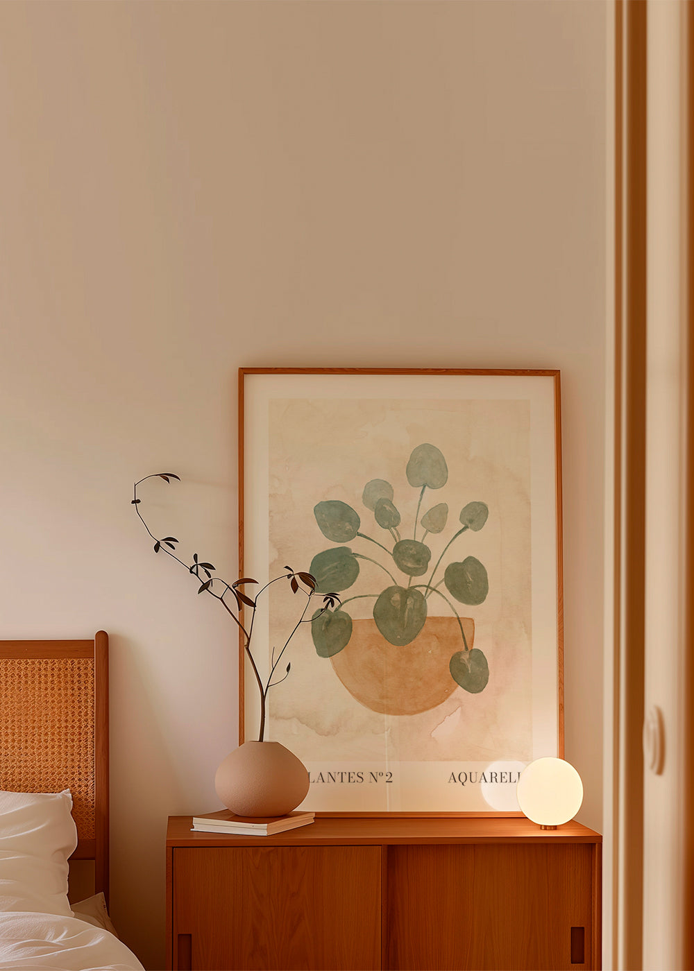 Les plantes Nº2
