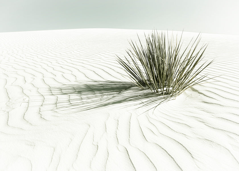 WHITE SANDS Dune | Vintage