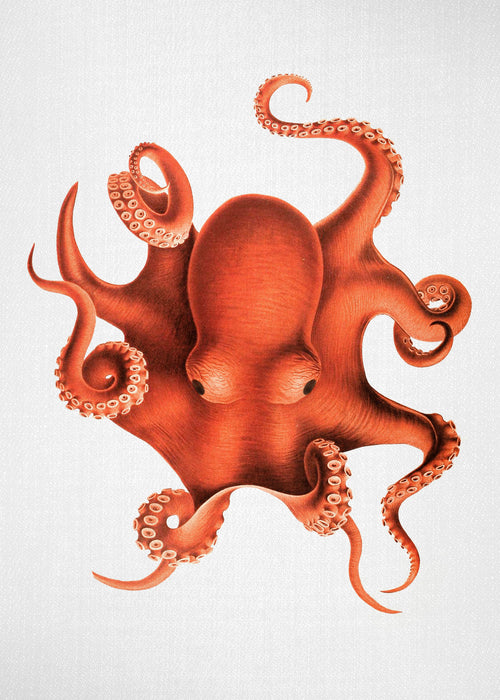Watercolor Octopus - Unframed art print