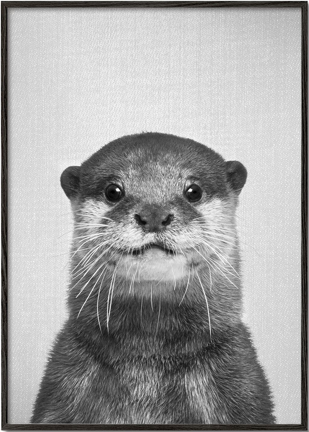 Otter - Black & White