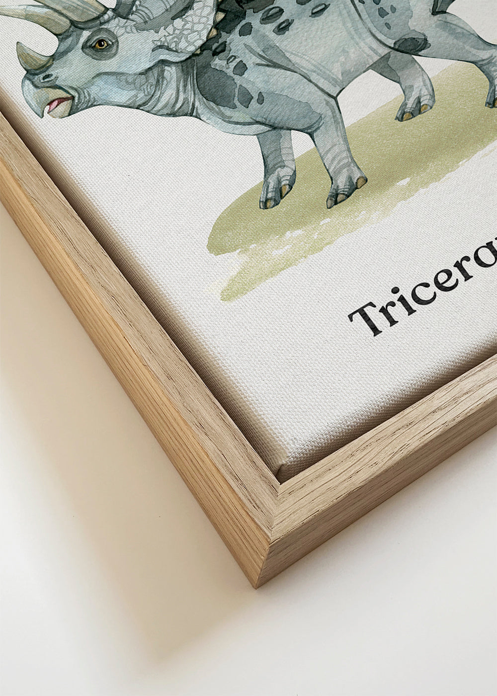 Œuvre Triceratops aquarelle illustrée