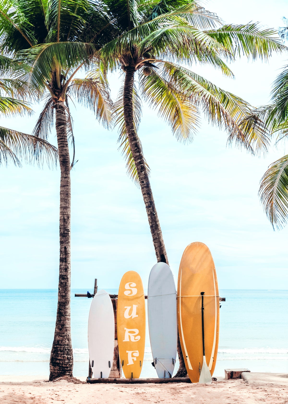 Choose Your Surfboard - Unframed art print