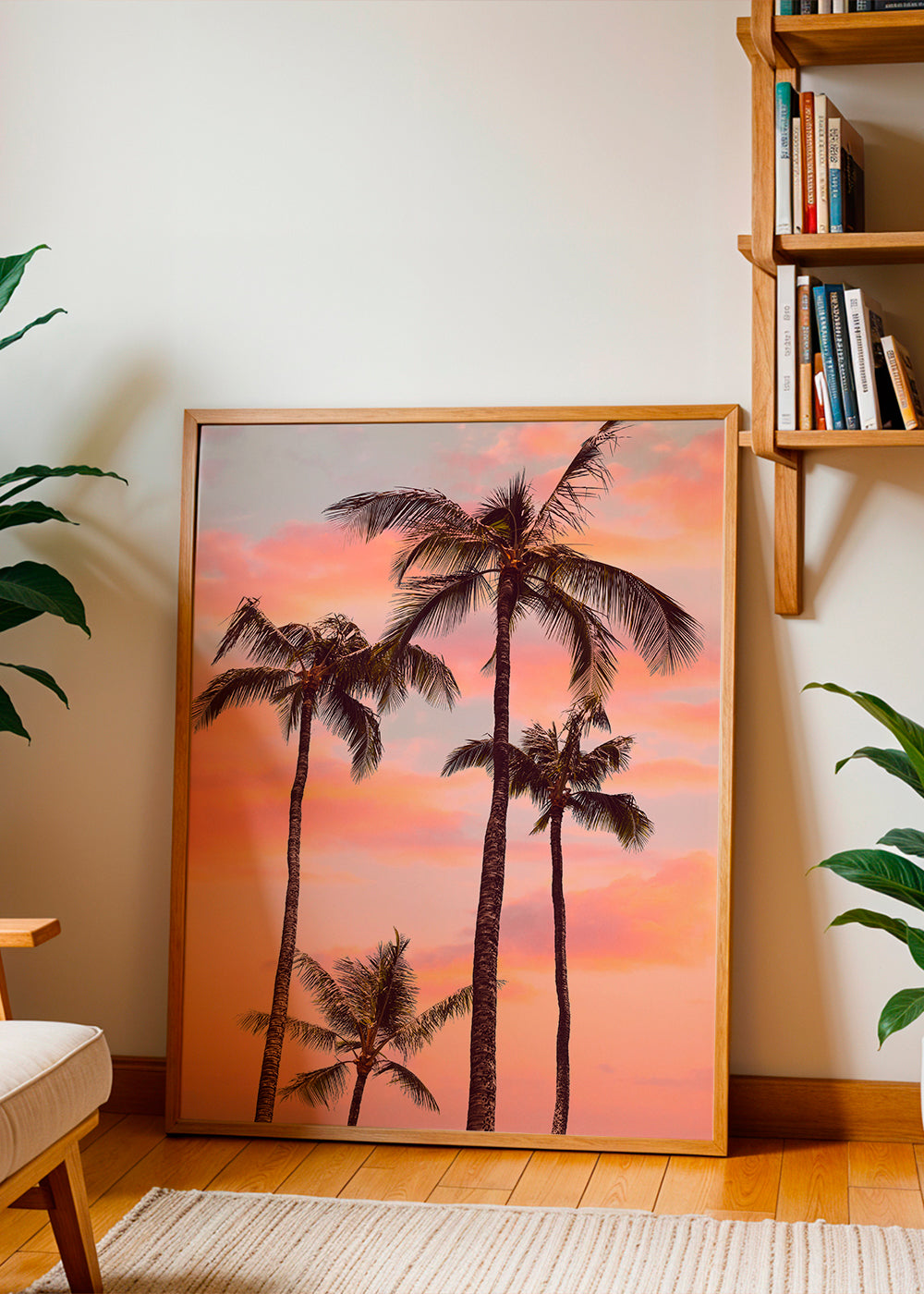 Sunset Palm Trees