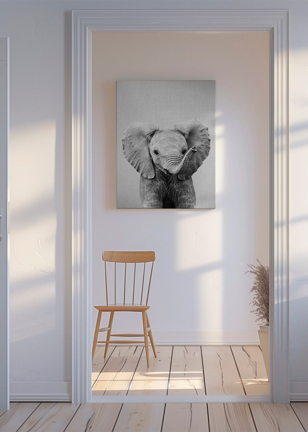 Baby Elephant - Black & White