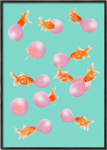 Bubblegum Goldfish