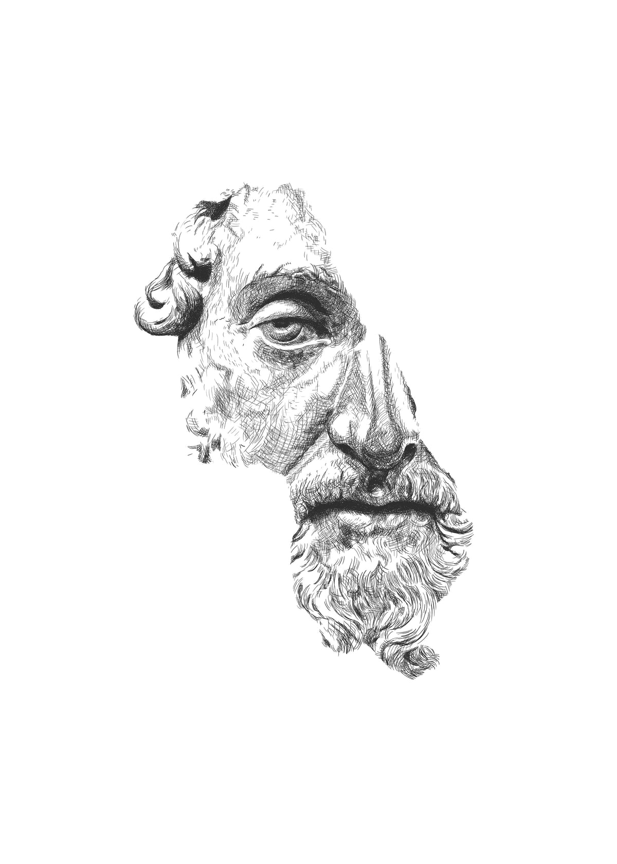 Marcus Aurelius Antoninus Augustus - Unframed art print