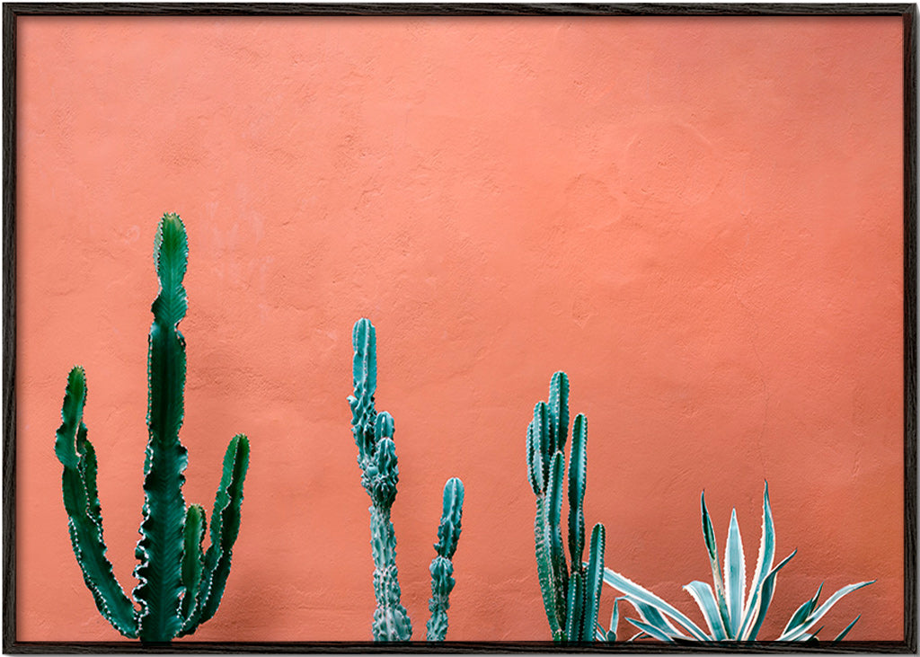Estampe botanique: cactus sobre mur terracotta – Black Frame