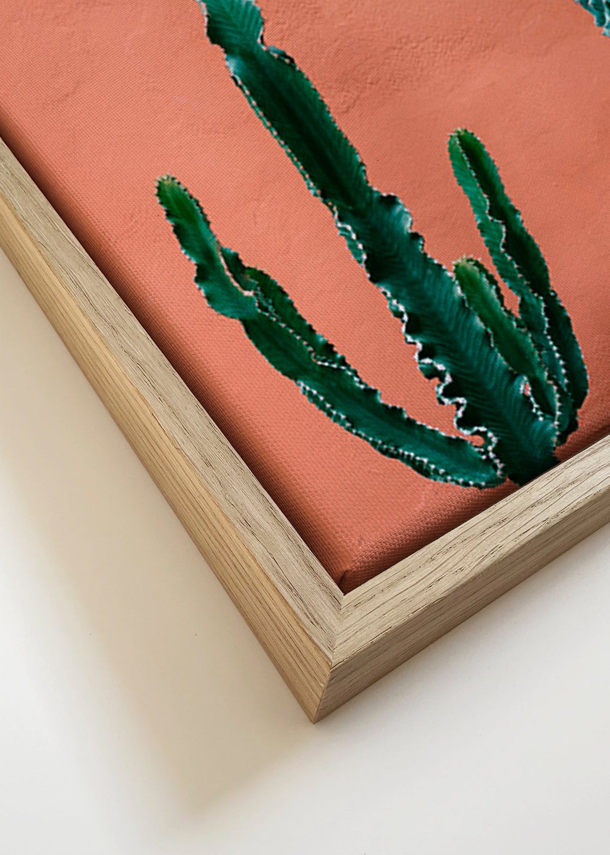 Estampe botanique: cactus sobre mur terracotta – Canvas detail