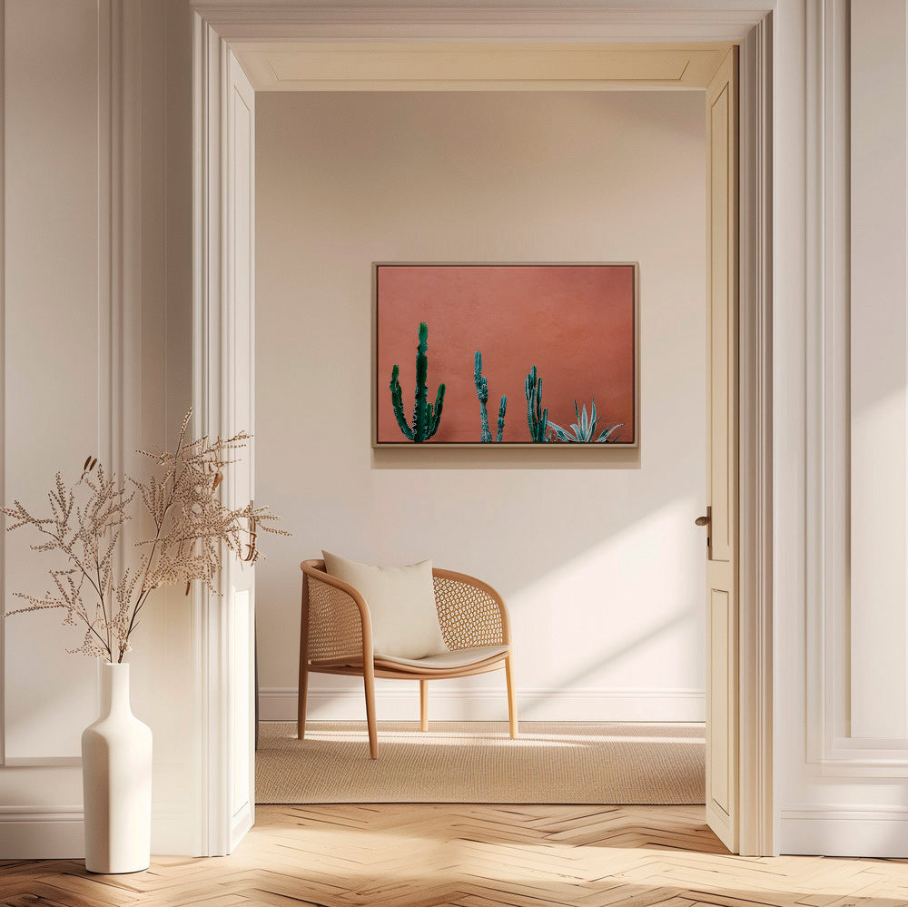 Estampe botanique: cactus sobre mur terracotta – Canvas1