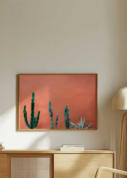 Estampe botanique: cactus sobre mur terracotta – Product1