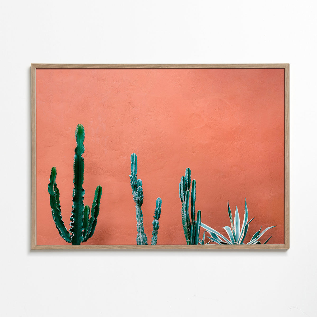 Estampe botanique: cactus sobre mur terracotta – Oak Frame