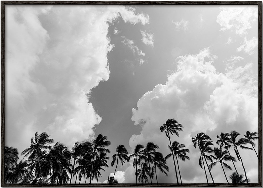 Art de paysage avec palmiers et ciel dramatique – Black Frame