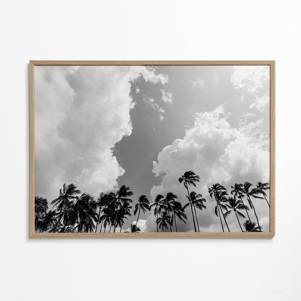 Art de paysage avec palmiers et ciel dramatique – Oak Frame
