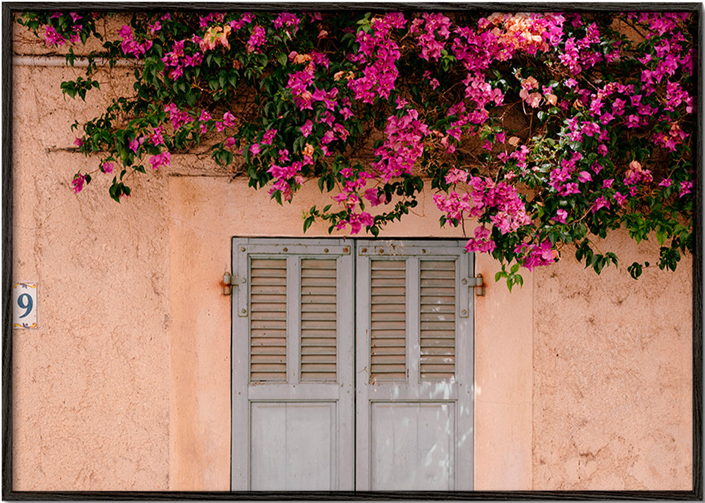Impression botanique: bougainvillier sur porte ancienne – Black Frame