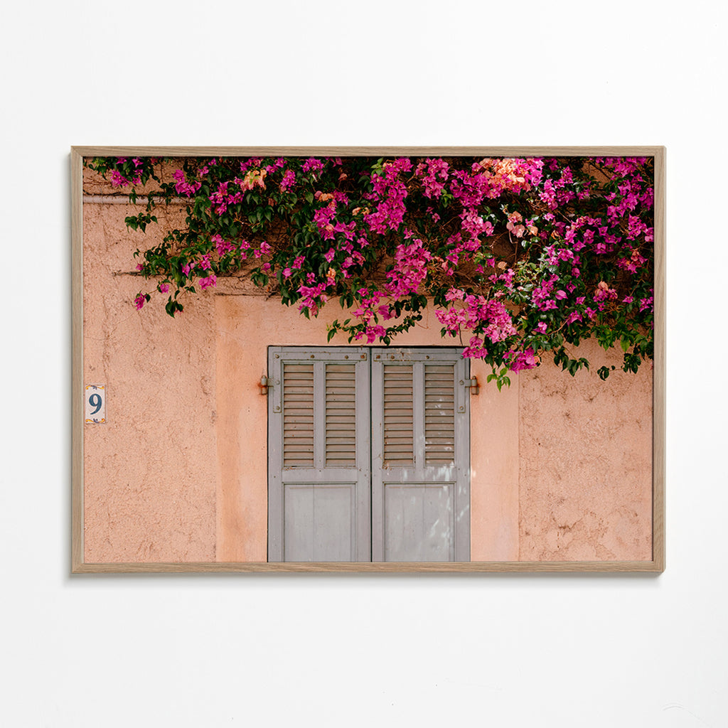Impression botanique: bougainvillier sur porte ancienne – Oak Frame