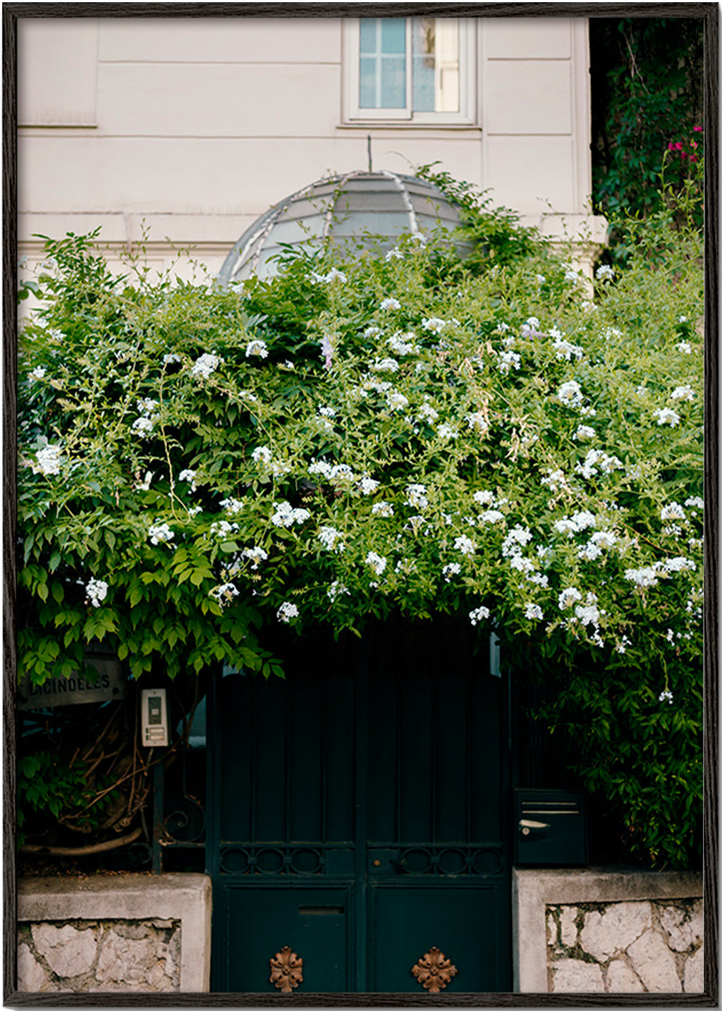 Impression botanique: vigne blanche sur porte – Black Frame