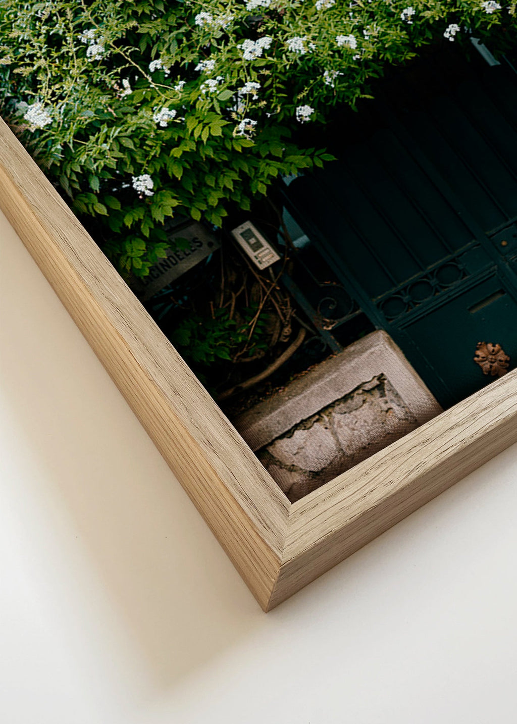Impression botanique: vigne blanche sur porte – Canvas detail