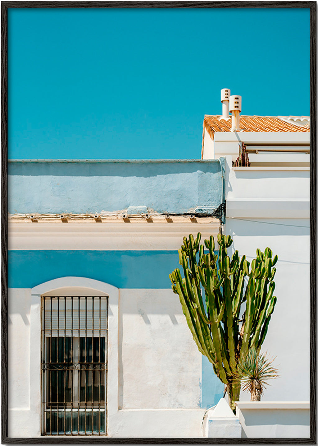 Impression botanique: façade méditerranéenne et cactus – Black Frame