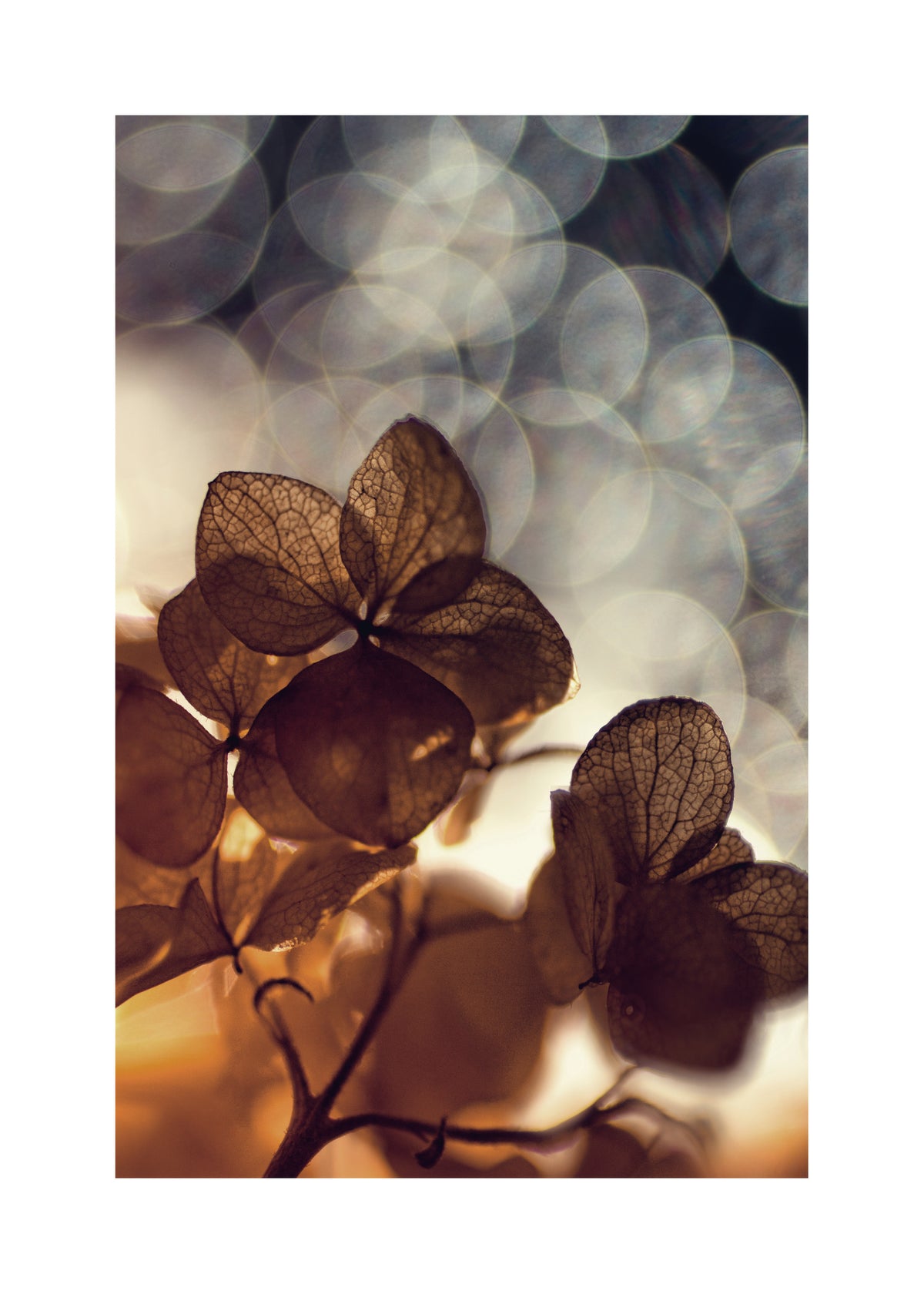 Beauty nature - Unframed art print