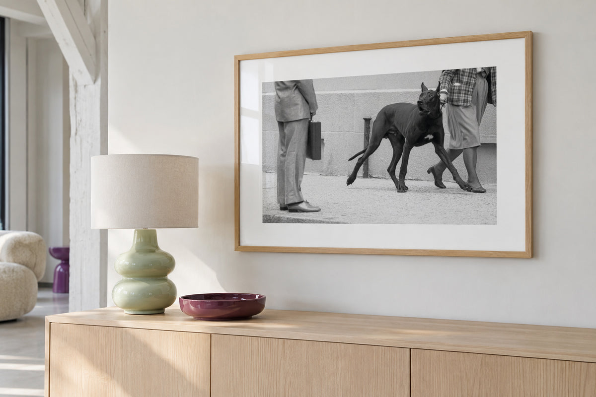 Great dane bodyguard - Framed poster in an interior